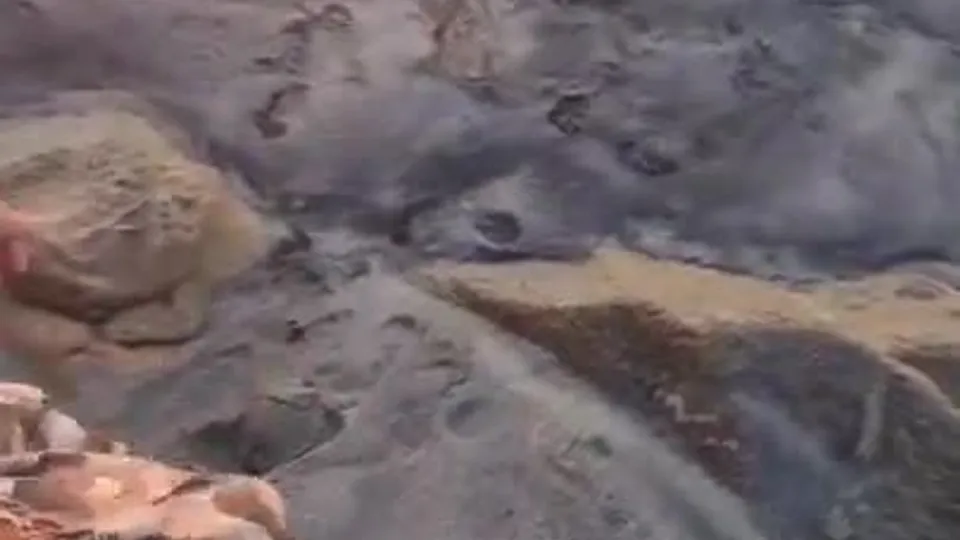 DonnyHot in Anal Threesome