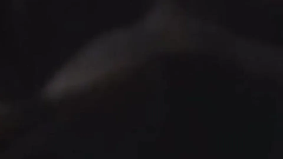 Drunk Frat Dude Handled and Sucked