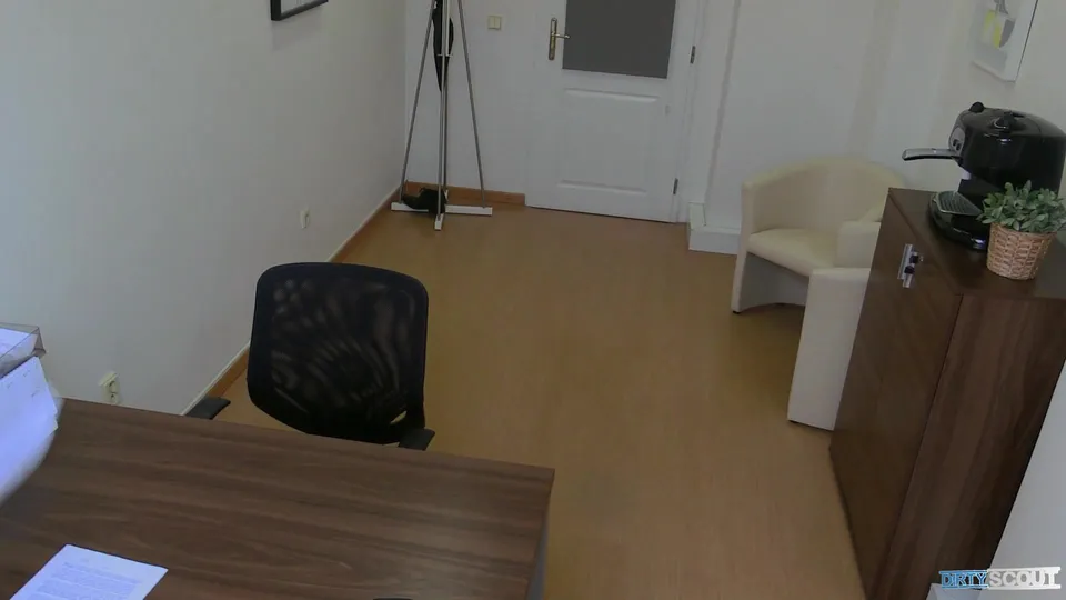 Job Interview Gone Wild