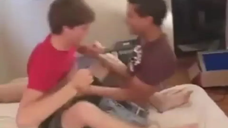 Gay Interracial Bedplay