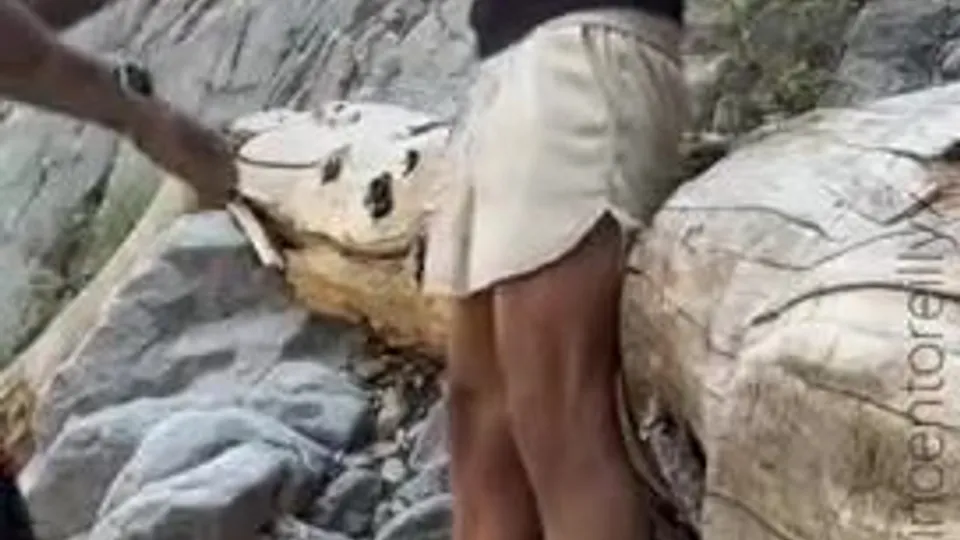 During a walk we suck and fuck