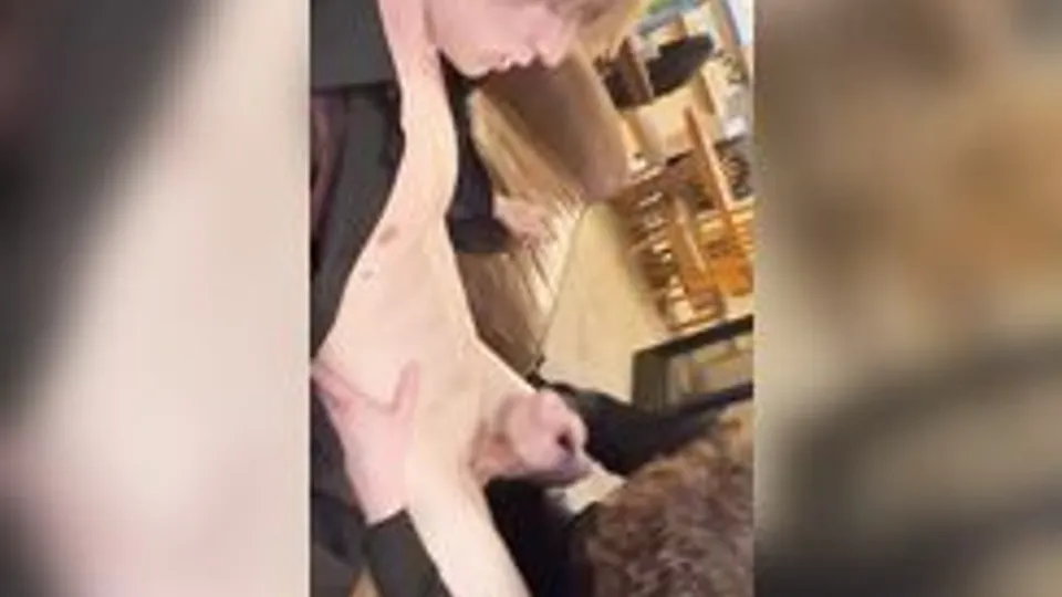 En Seguidilla Gay Porn Tube