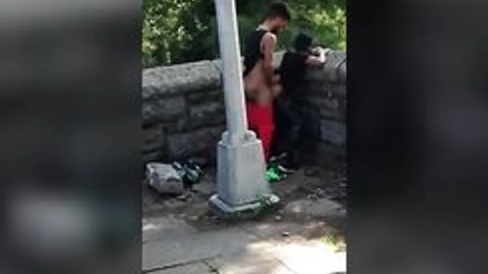 Exhibitionist Fuck in Public Park