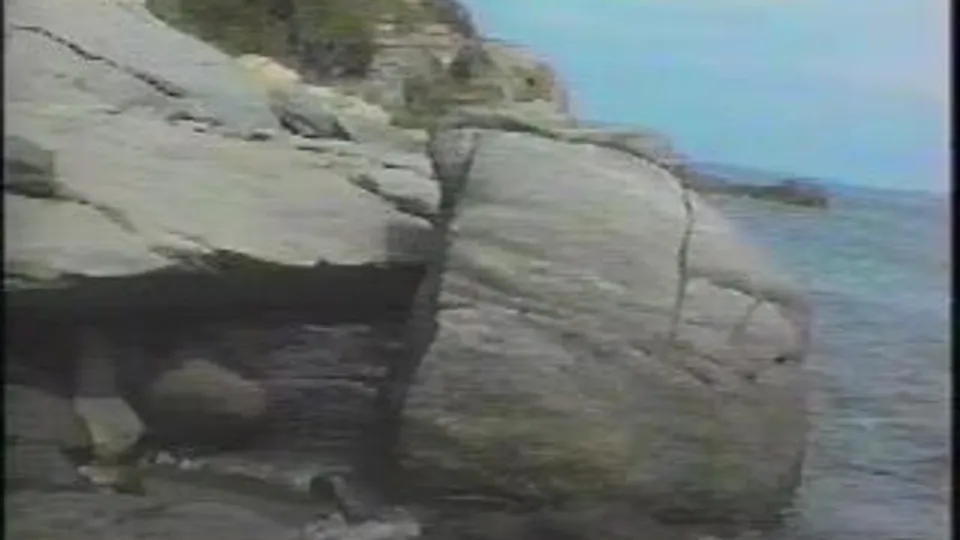 Exotic Production - Memories of Bamboo Island