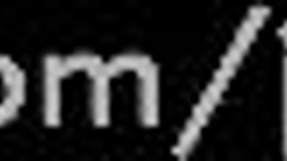 Fans - Johnny Rapid (129)