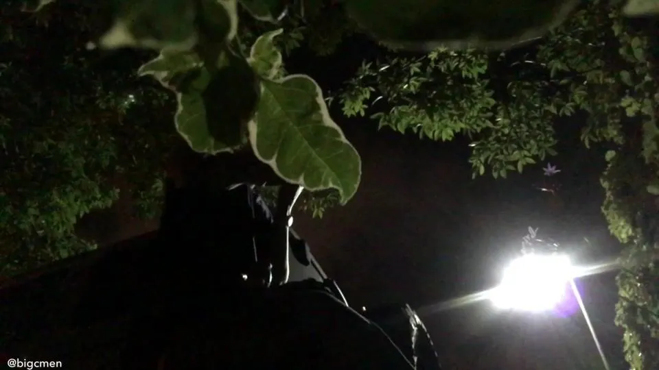 Remy Cruze & Big C'in Kar Seks Macerası... Remy, Barsdan Sonra Da Benim Sütü Stroke Etmek Ve Yutmak İstedi - gey porno video