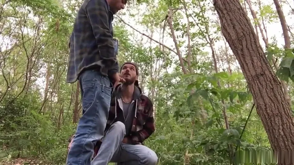 Gay Forest Feeding Frenzy