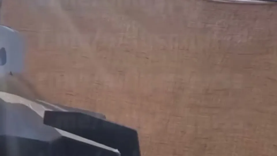 Festival man with hung dick - ThisVid.com