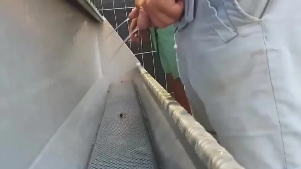 Festival Spy piss - video 2 - ThisVid.com