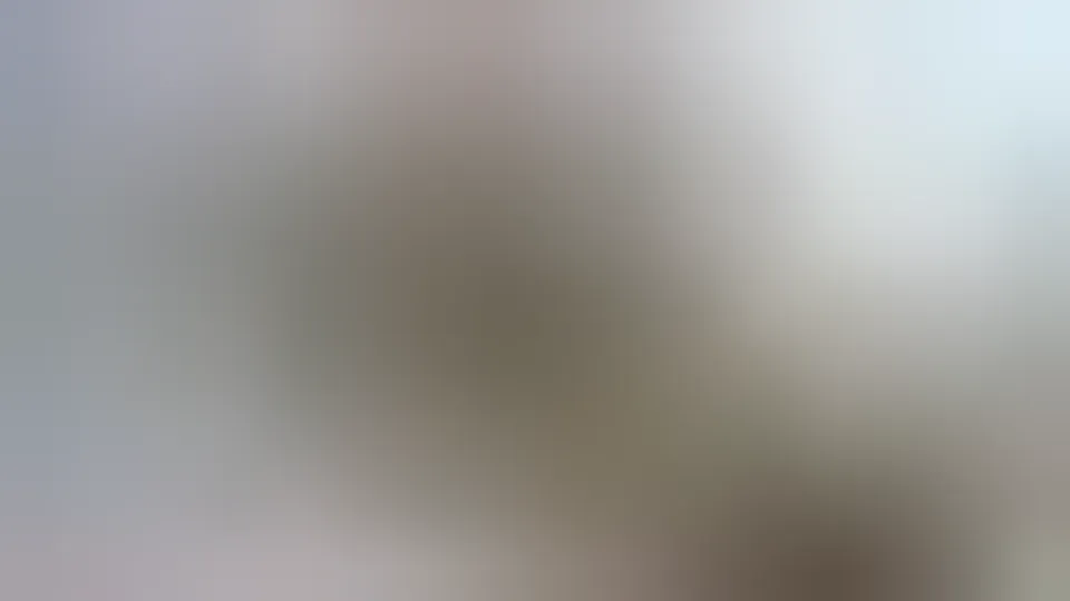 German MILF Takes Big Dick