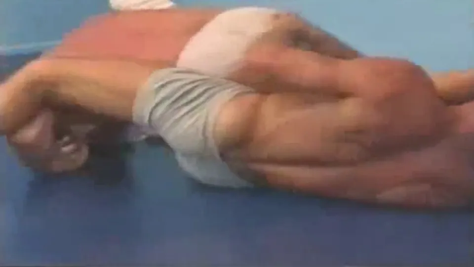 fighting for his manhood  — PornOne ex vPorn
