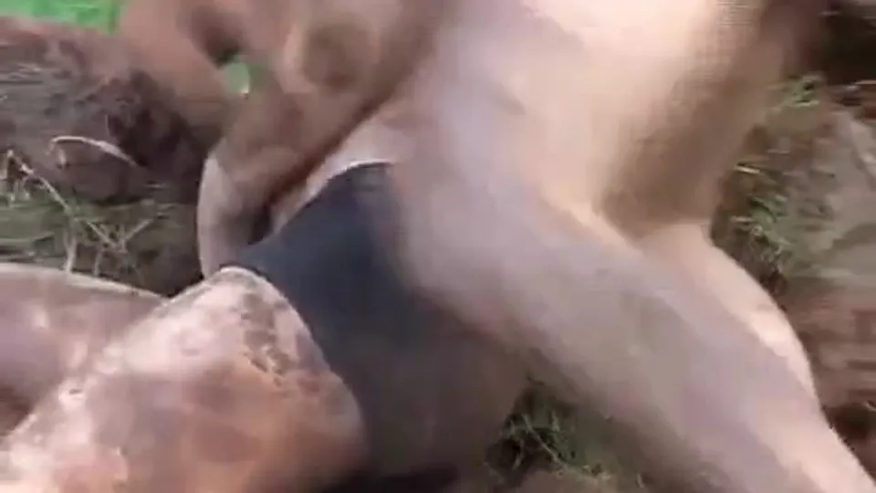 Fightplace - Brutal Mude Combat.mp4