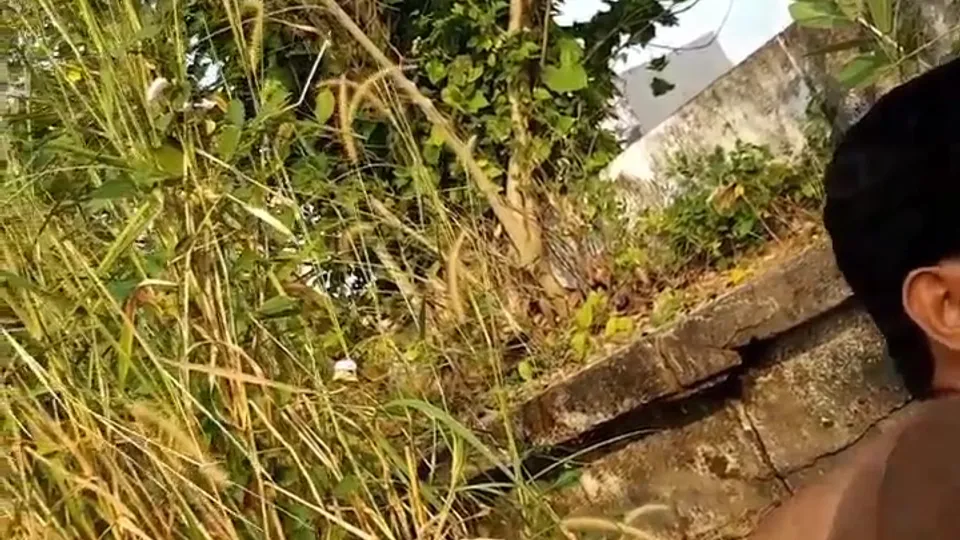 Filed - ThisVid.com