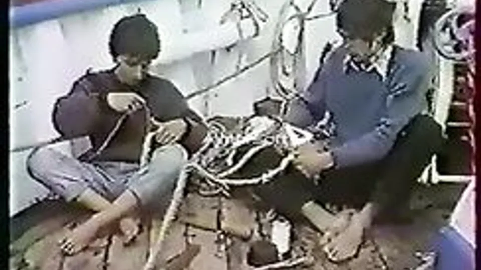Fleur de Lampaul Gay Teen Porn