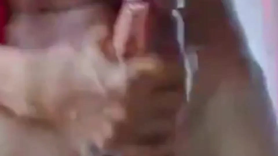 샤워실에서 하는 게이 트리올라