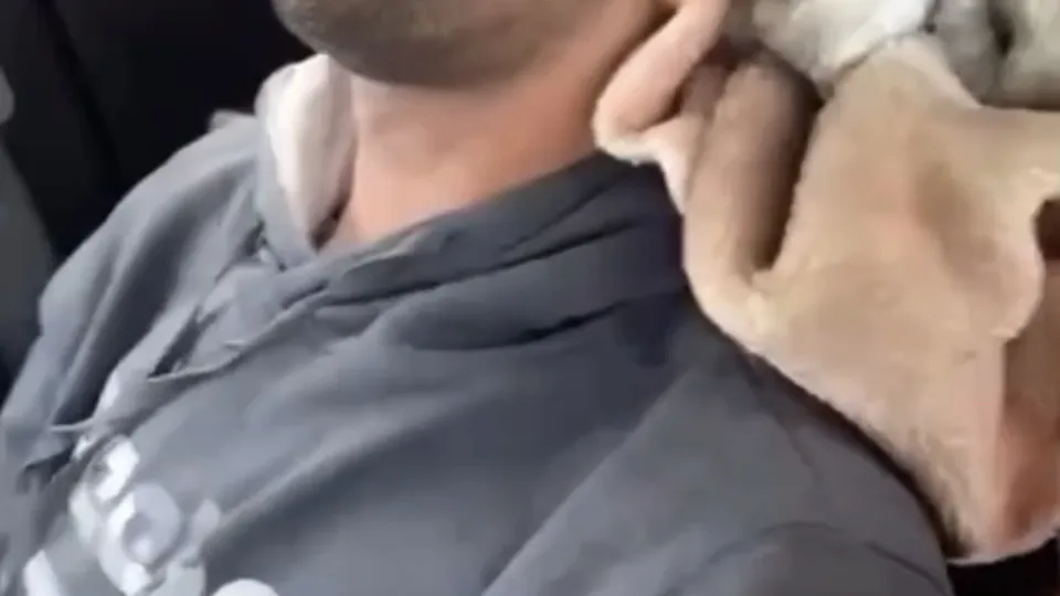 Friend ... while drunk - ThisVid.com