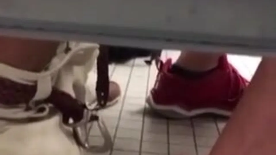 Fuck In public - ThisVid.com
