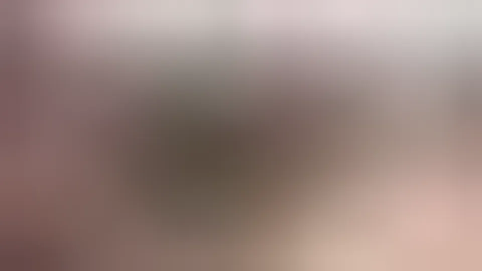 Fucked & Creamed