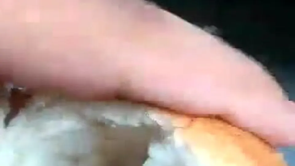 Bread Fucking Fantasy