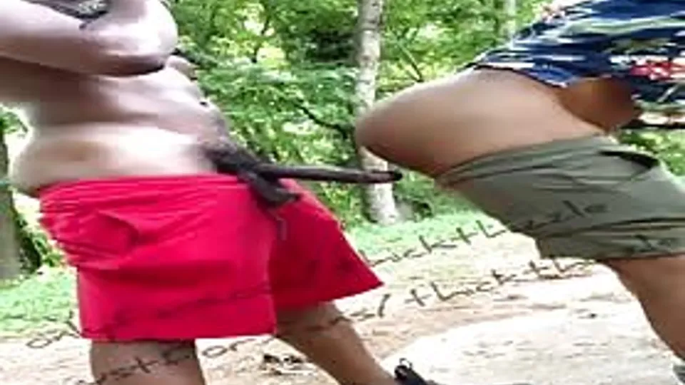 Public Park Encounter