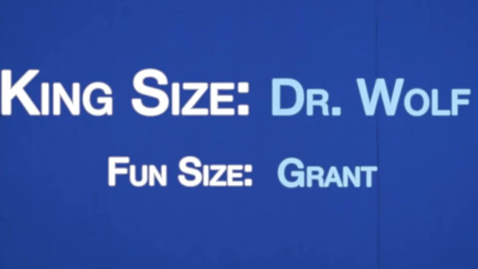 Fun Size Boys – Grant Ducati Vol. 2 – Professional Help With Legrand Wolf