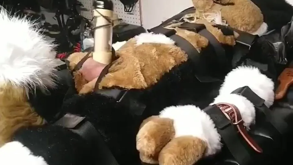 Furry Bondage: BDSM in Fursuits