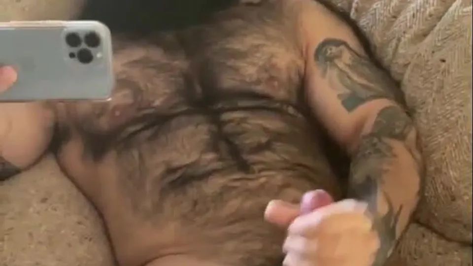 Furry Persian Load - ThisVid.com