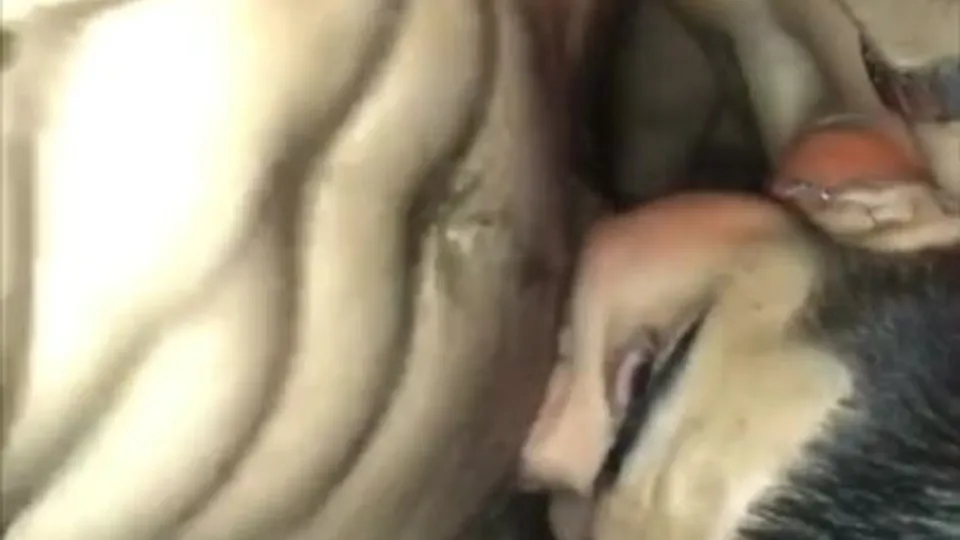 Gay Blowjob - ThisVid.com