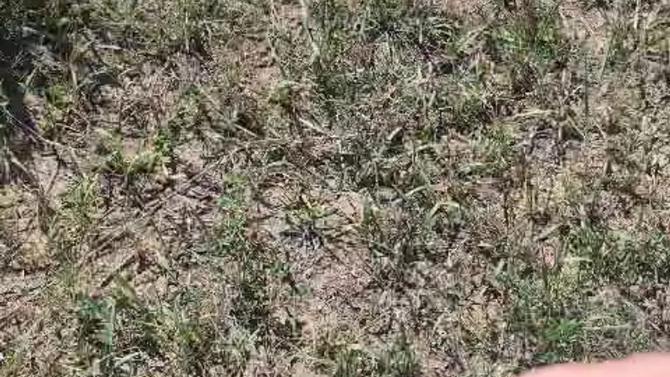 Hermanos militares en encuentro gay