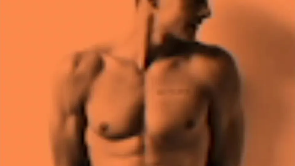 Gay PMV - video 2 - ThisVid.com