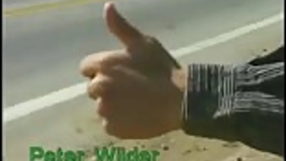 Twink Hitchhiker Gay Porn