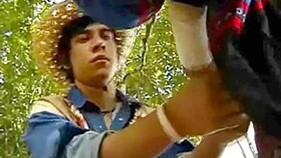 Gay Tube - Wilderness Gay Boys Mountain Tube Rescue- Free Xxx Videos & Movies - againgay.com