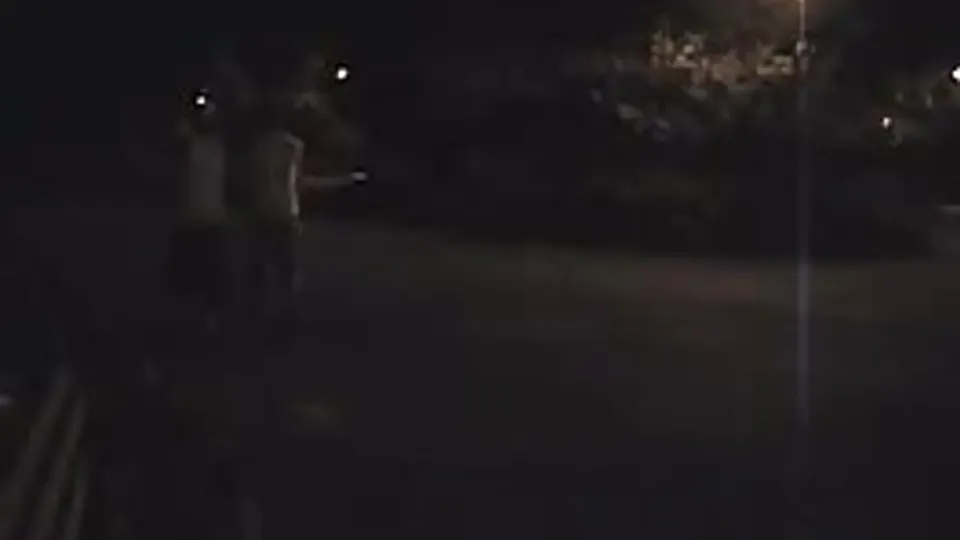 Gaypark at night