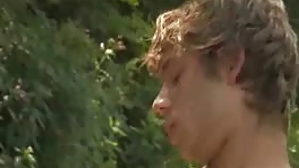 GaySex