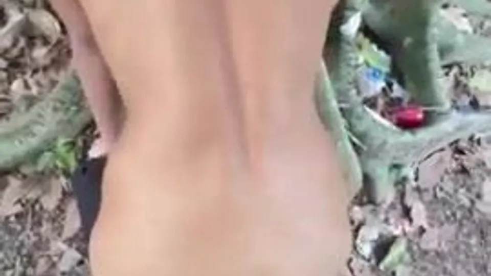 Getting fucked in the forest