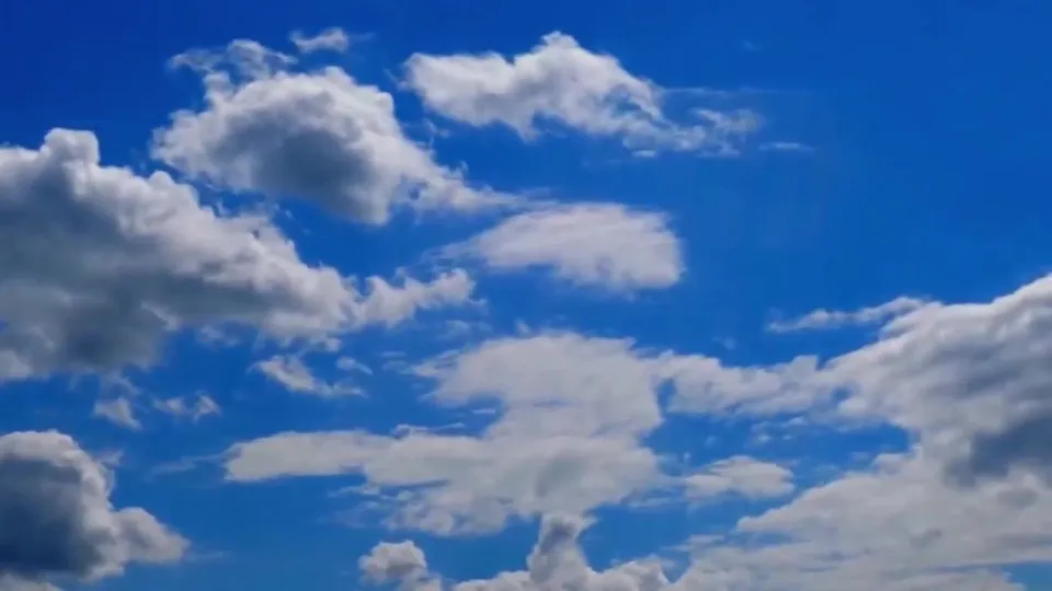 Threesome Cumshot Swap