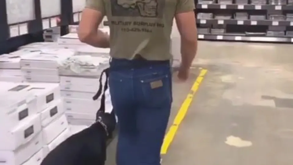 God, just look at it - ThisVid.com