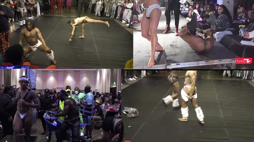 Goon to ballroom asses PMV - try not to cum challenge - ThisVid.com