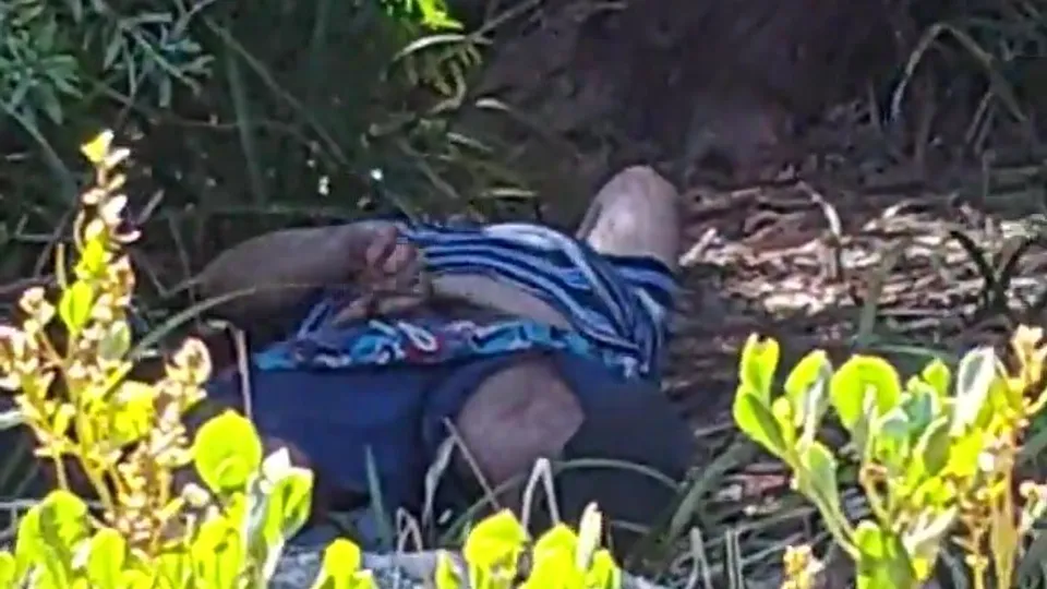 Got too high playing golf - ThisVid.com