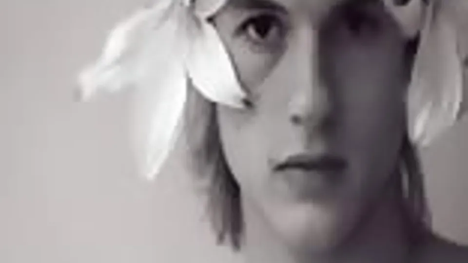 그레이 아도니스: 남자 솔로 쇼