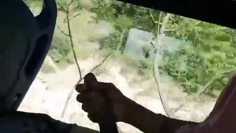 Great cumshot on the bus - ThisVid.com