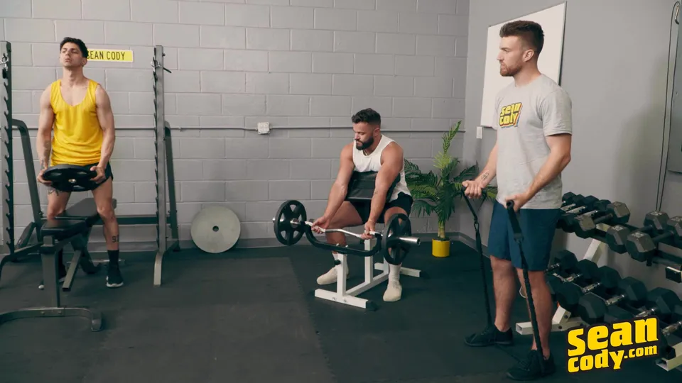 Gym Cruising Interactive