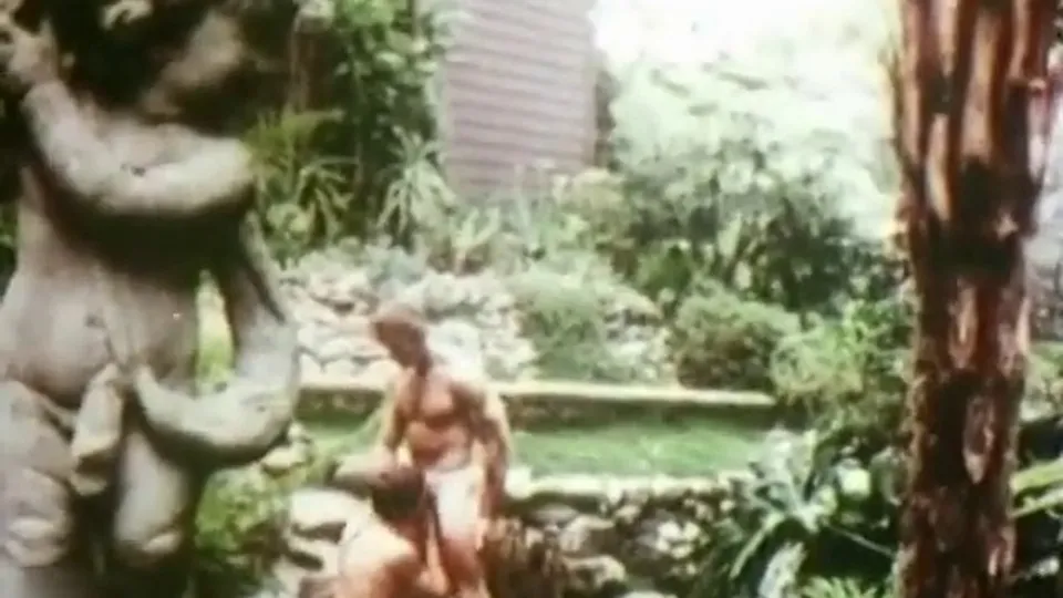 hairy muscle daddies - vintage  — PornOne ex vPorn