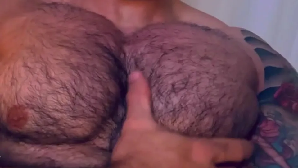 Hairy MuscleBear Pec Self Worship - ThisVid.com