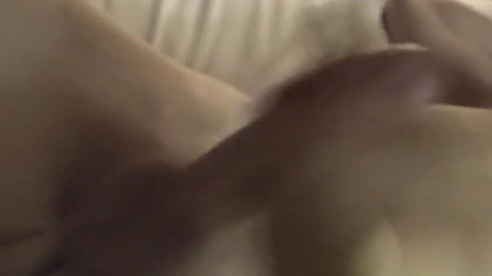 Handjob Cumshot   26.4 .mp4