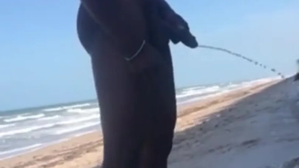 Handsome black guy pissing on the beach - ThisVid.com