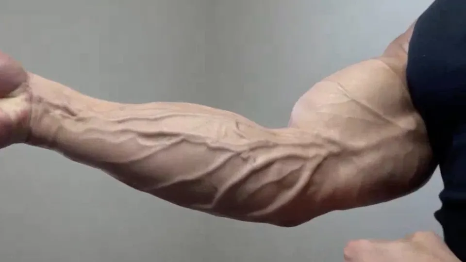 Handsome Veiny Dude - ThisVid.com