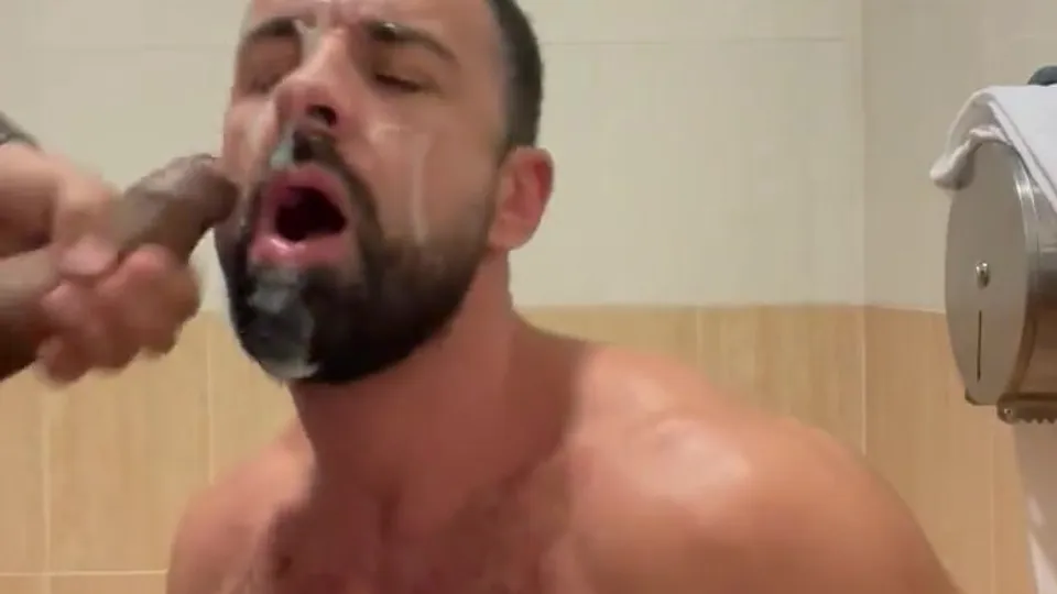 Happy pig gets huge restroom facial - ThisVid.com