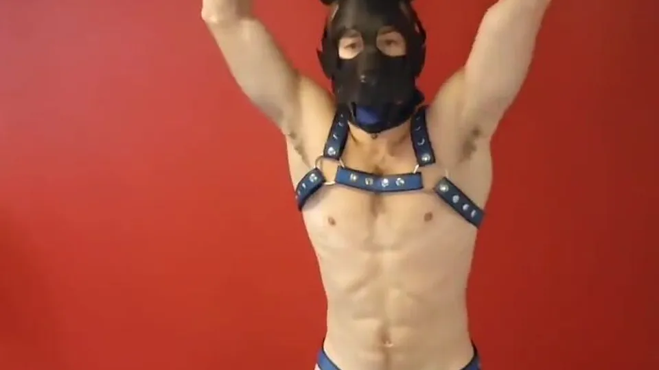 Happy pup - ThisVid.com