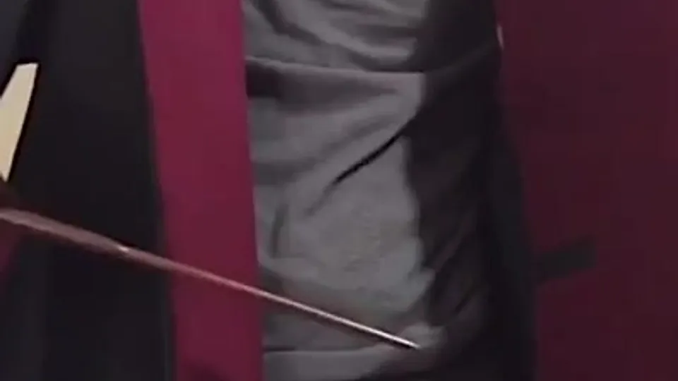 Harry Potter Cock Spell - ThisVid.com
